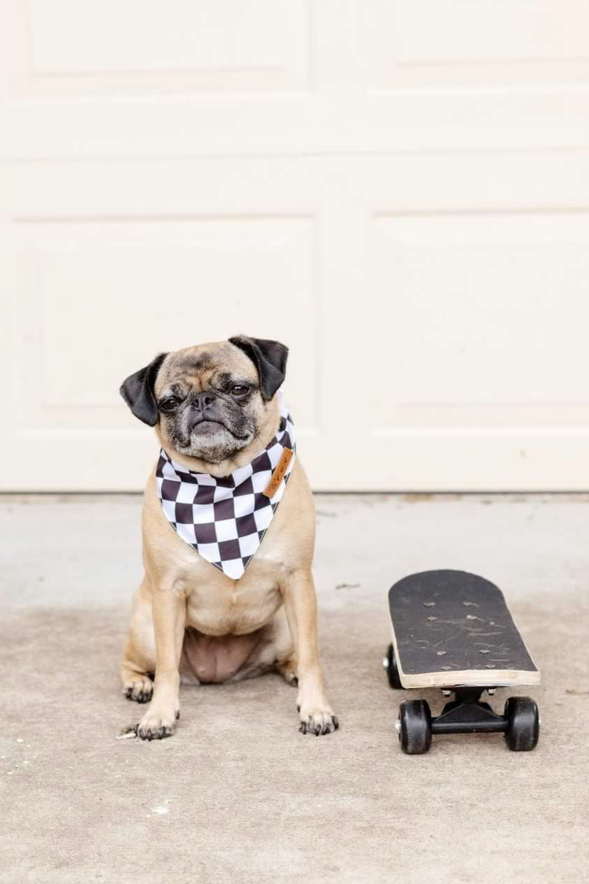 Checkered Dog Bandana