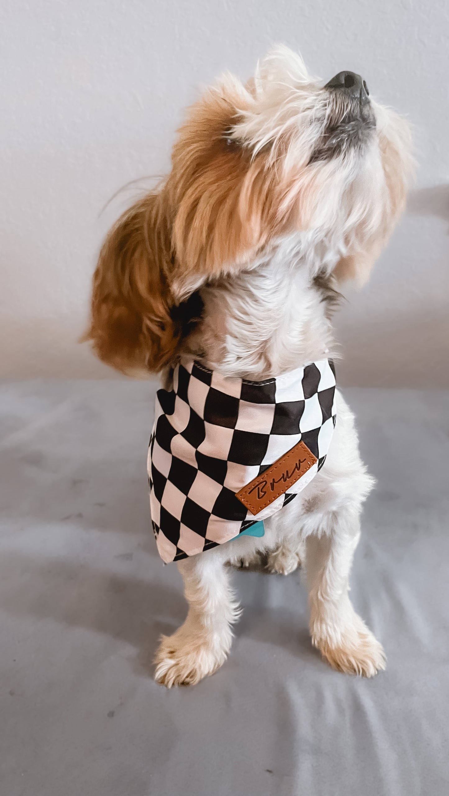 Checkered Dog Bandana