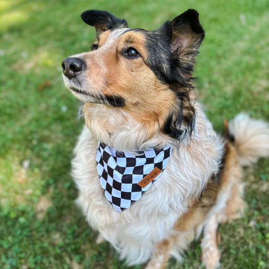 Checkered Dog Bandana